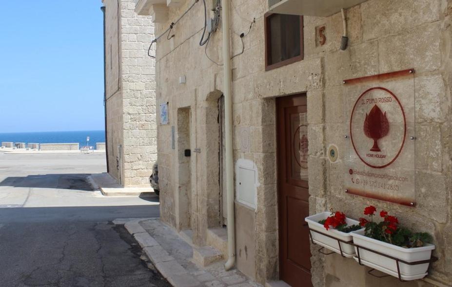 Villa Il Pumo Rosso Polignano a Mare Esterno foto